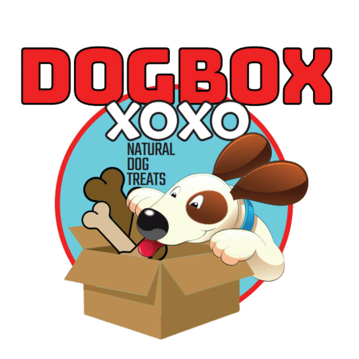 Puppy Box - "Pawsitively Perfect Start!