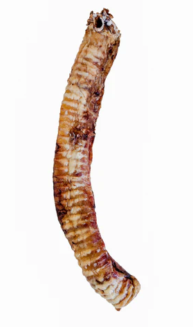 Beef Trachea