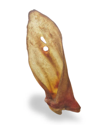 Dehydrated Lamb Ears