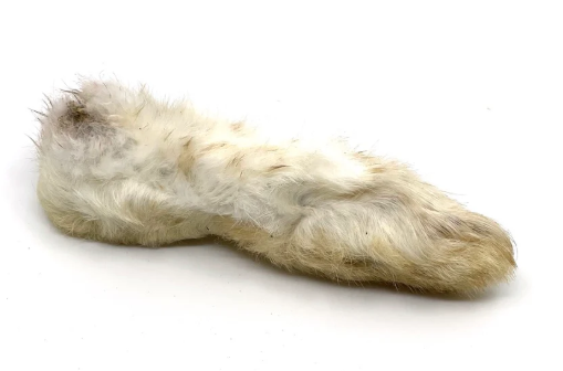 Dehydrated Rabbit Feet