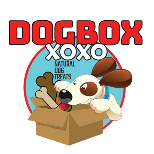 Large Dog Box (50lb+) - Supersized Snack Attack!