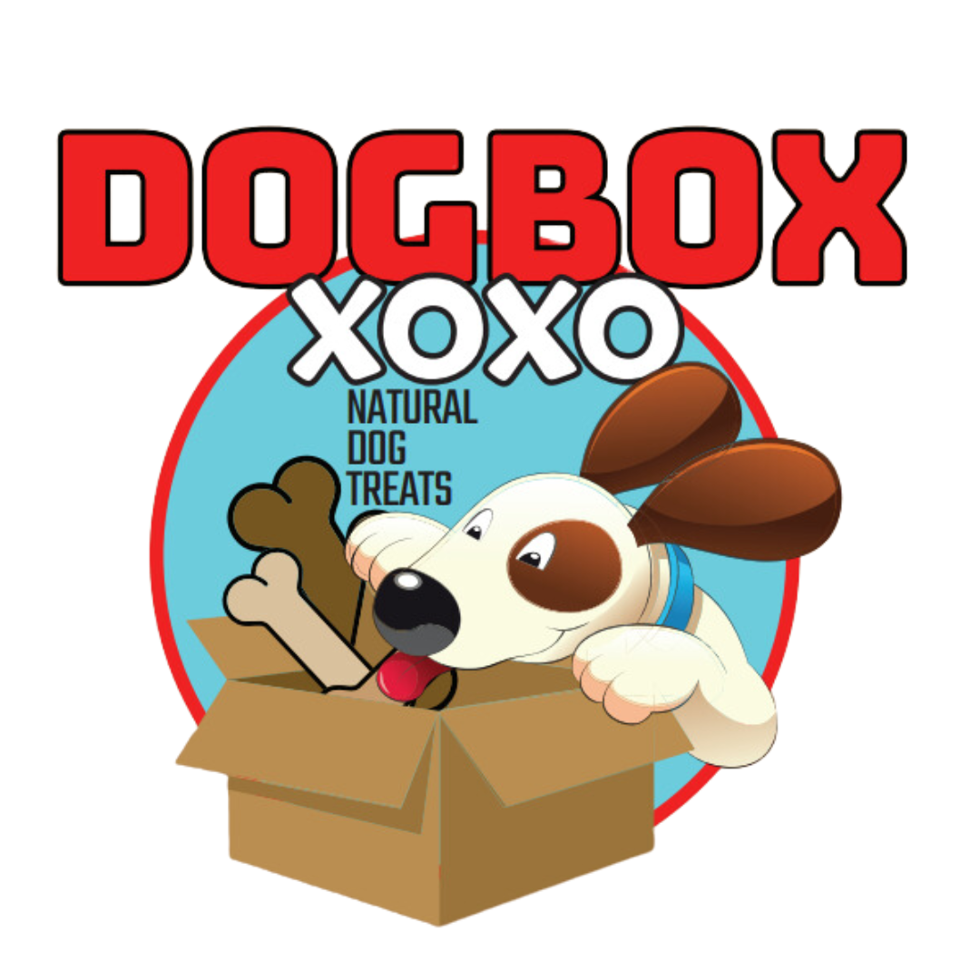 Medium Dog Box (20-50lbs) - Mid-Sized Marvels!